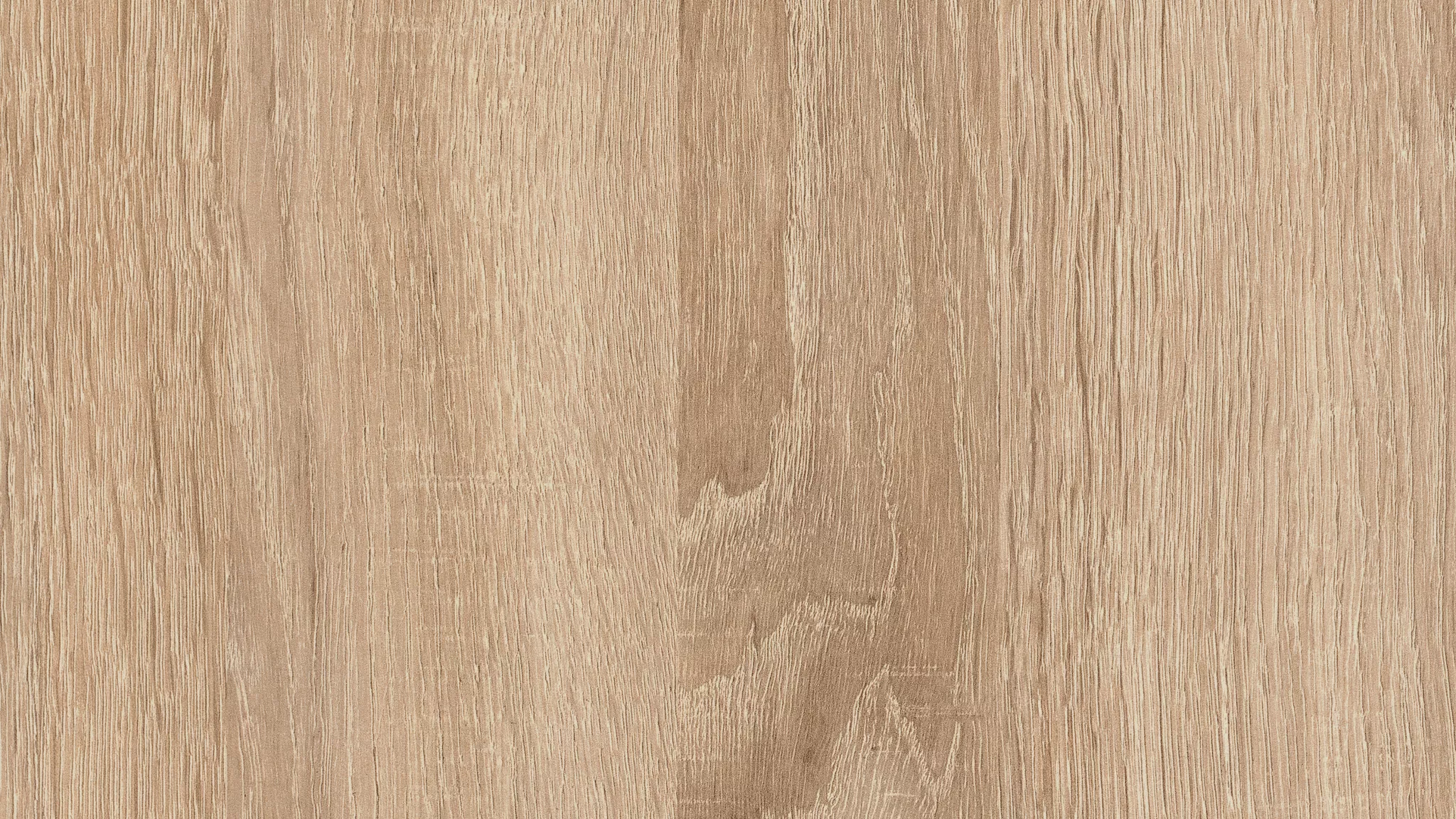 Дуб Бардолино натуральный